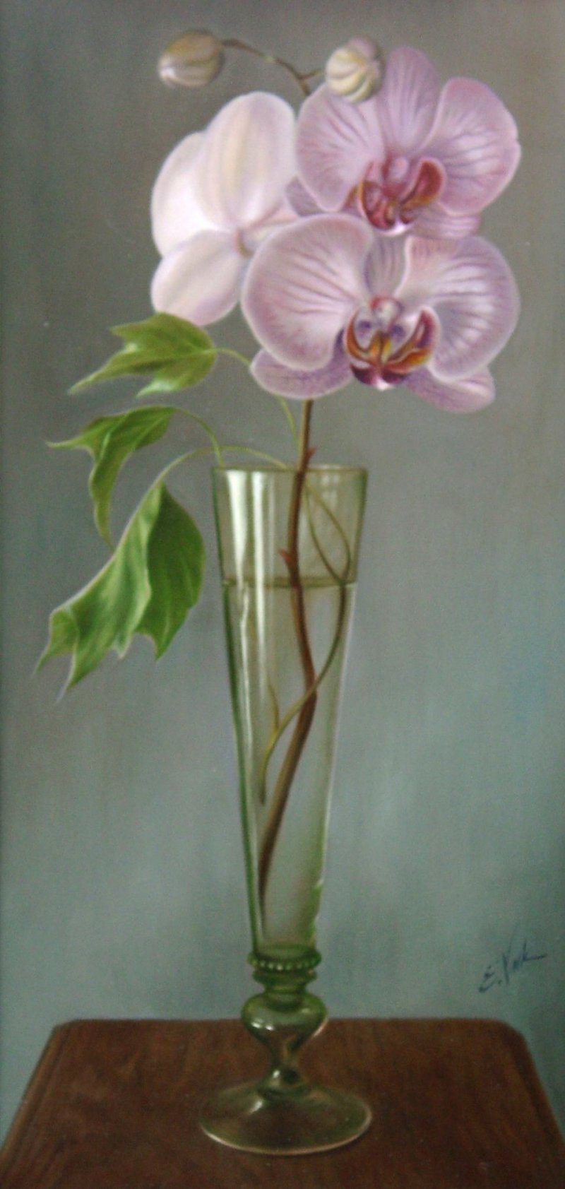 Orchid